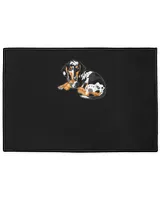 Indoor Floor Mats
