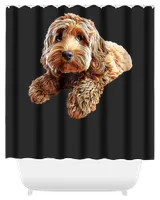 Shower Curtain