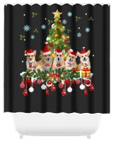 Shower Curtain