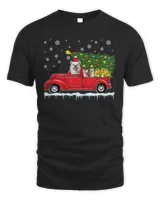 Men's Standard T-Shirt