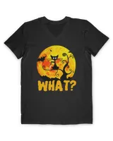 Cat Black Cat What 47 paws