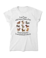 Women's Soft Style T-Shirt
