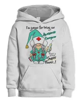 Youth Pullover Hoodie