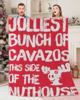 CAVAZOS-NT-XM14 Premium Mink Sherpa Blanket (60x80in) red 60x80in
