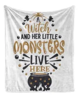 Cozy Plush Fleece Blanket (50x60in)
