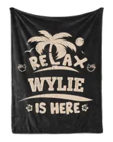 Cozy Plush Fleece Blanket (30x40in)