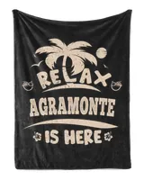 Cozy Plush Fleece Blanket (30x40in)
