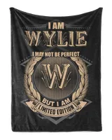 Cozy Plush Fleece Blanket (30x40in)