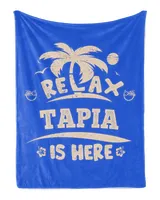 Cozy Plush Fleece Blanket (30x40in)