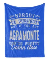 Cozy Plush Fleece Blanket (30x40in)