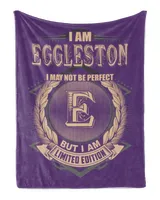 Cozy Plush Fleece Blanket (30x40in)
