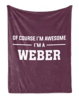 Cozy Plush Fleece Blanket (30x40in)