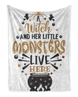 Cozy Plush Fleece Blanket (30x40in)