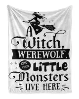 Cozy Plush Fleece Blanket (30x40in)