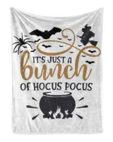Cozy Plush Fleece Blanket (30x40in)