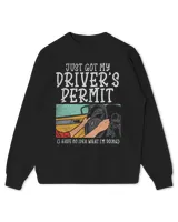 Kids Standard Sweatshirt