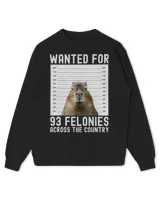 Kids Standard Sweatshirt