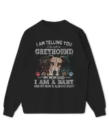 Kids Standard Sweatshirt