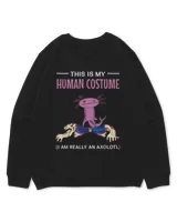Kids Standard Sweatshirt