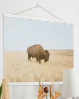Hanging Canvas Prints (12x8in)