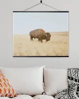 Hanging Canvas Prints (20x16in)