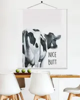 cow nice
