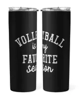 Skinny Tumbler