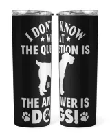 Skinny Tumbler