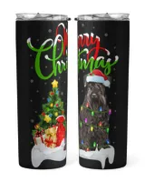 Skinny Tumbler