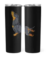 Skinny Tumbler