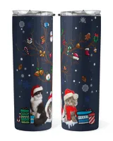 Skinny Tumbler