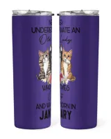 Skinny Tumbler