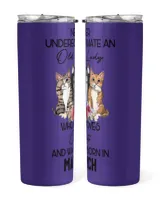 Skinny Tumbler