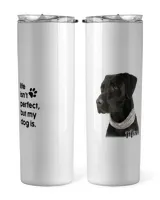 Skinny Tumbler