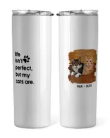 Skinny Tumbler