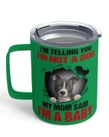Insulated Mug