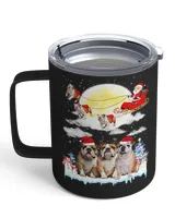 Insulated Mug