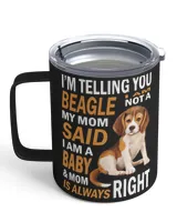 Insulated Mug