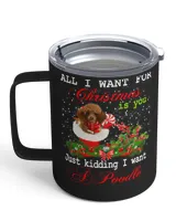 Insulated Mug