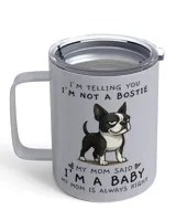 Insulated Mug