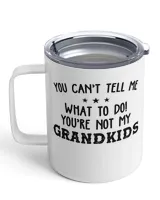 Insulated Mug