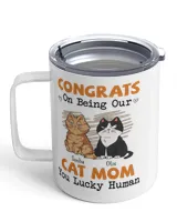 Insulated Mug