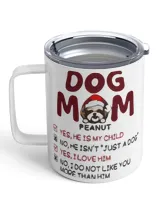 Insulated Mug