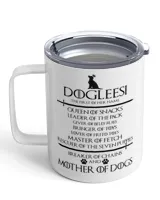Insulated Mug