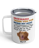 Insulated Mug