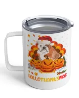Insulated Mug