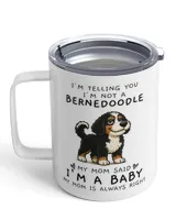 Insulated Mug