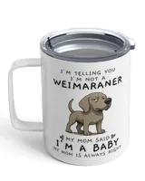 Insulated Mug