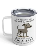 Insulated Mug
