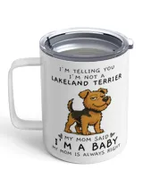 Insulated Mug